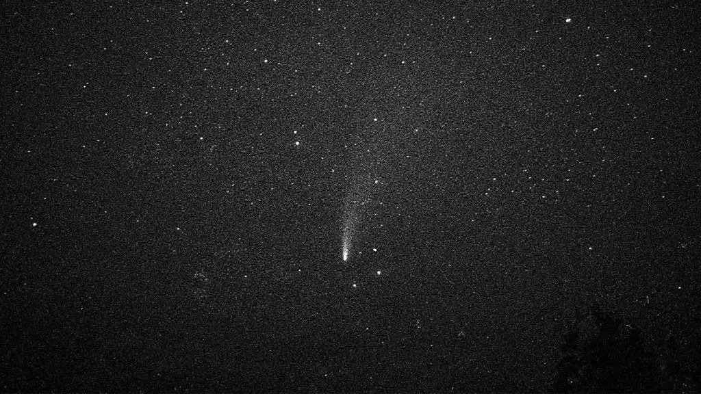 NEOWISE Coment caught on film