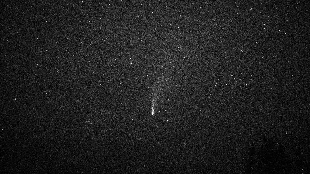 NEOWISE Coment caught on film