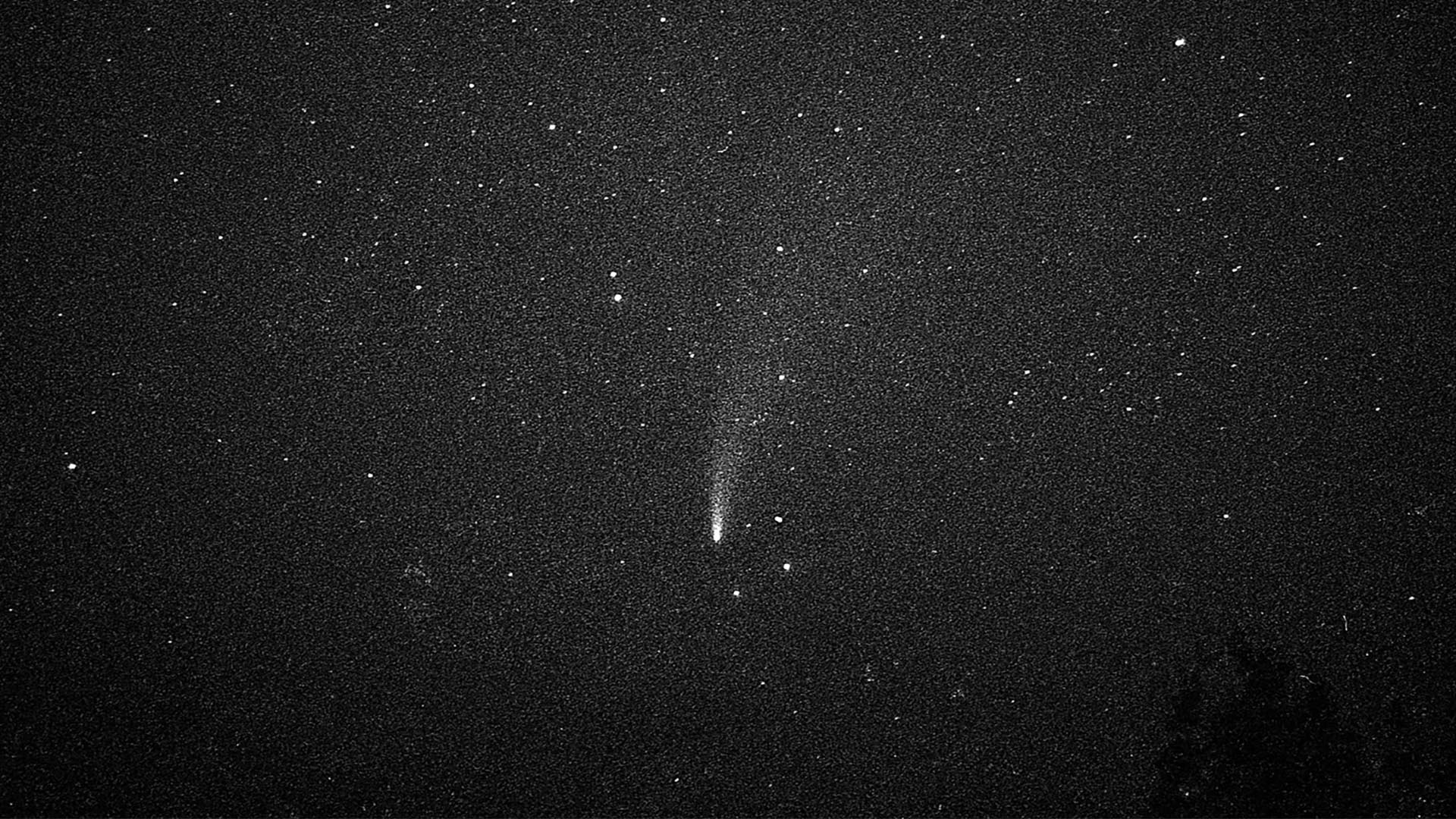 An image of the NEOWISE comet shot on high speed Black and White Film. The technical Data Sheets contain some information that could have helped make this image better.