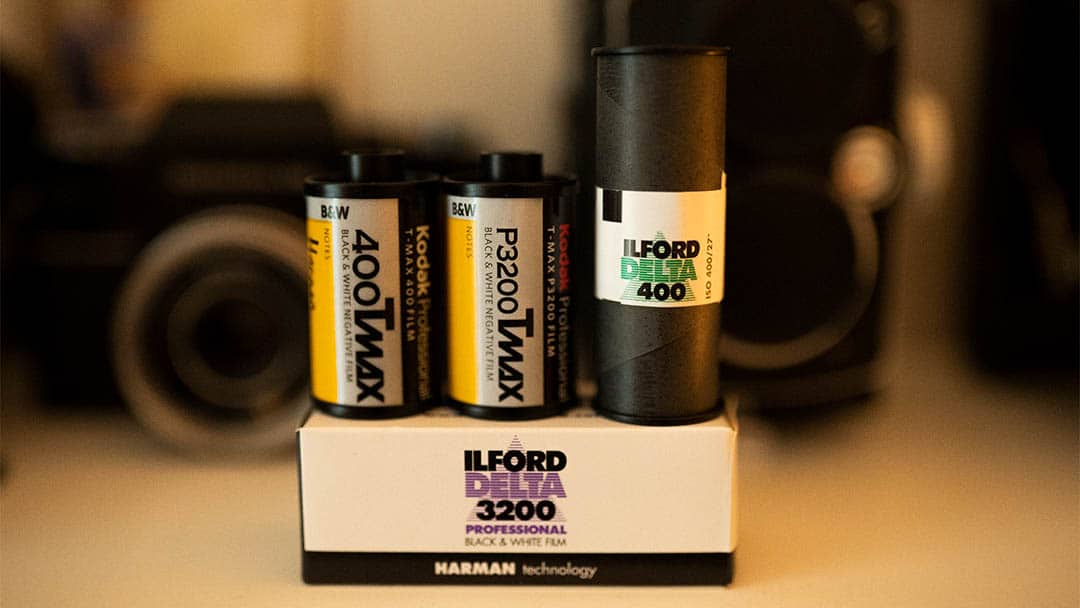 Ilford Delta and Kodak TMax