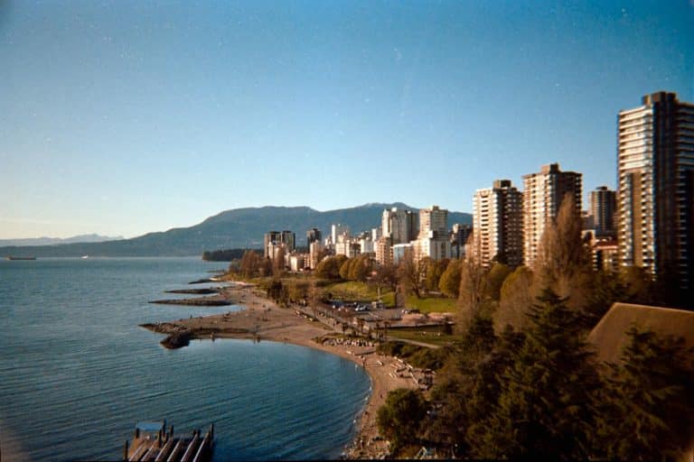 How to dispose of film developing chemicals Learn Film Photography