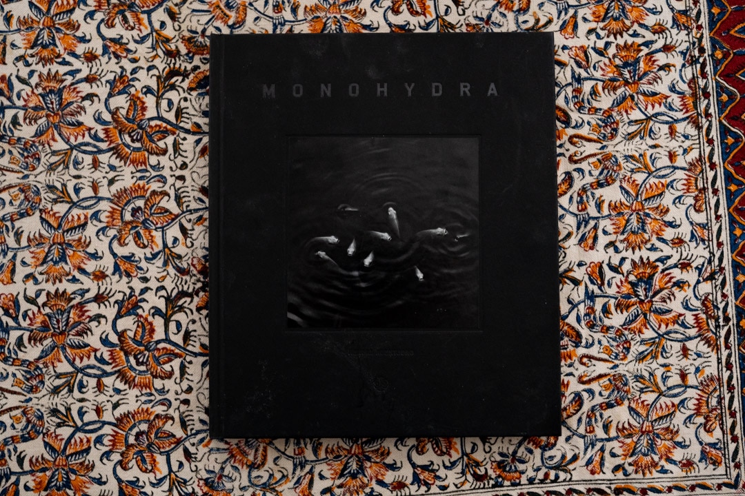The Cover of Monohydra by Hengki Koentjoro