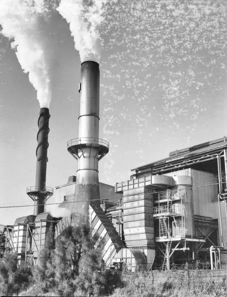 28 Film Developing Problems and How to Solve Them (with photos)