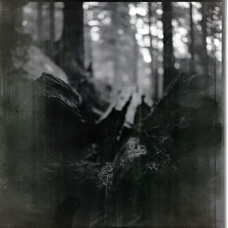 28 Film Developing Problems and How to Solve Them (with photos)