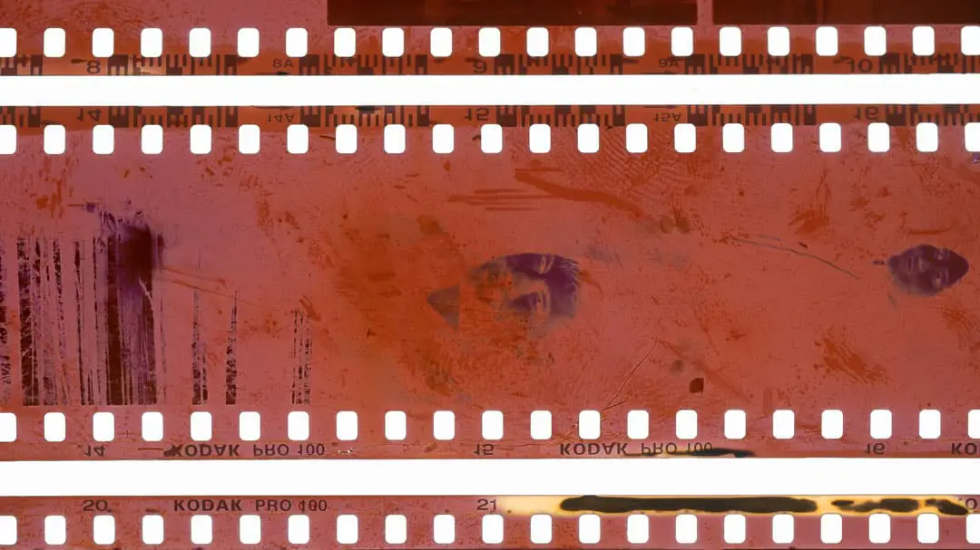 Fingerprints on the film. In some cases, touching the film emulsion before developing can leave a fingerprint on the developed negative. 