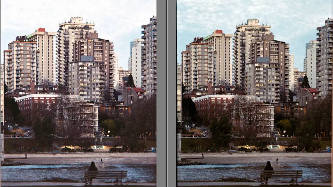 A side by side comparison of an image scanned with an extension tube and one with a macro lens