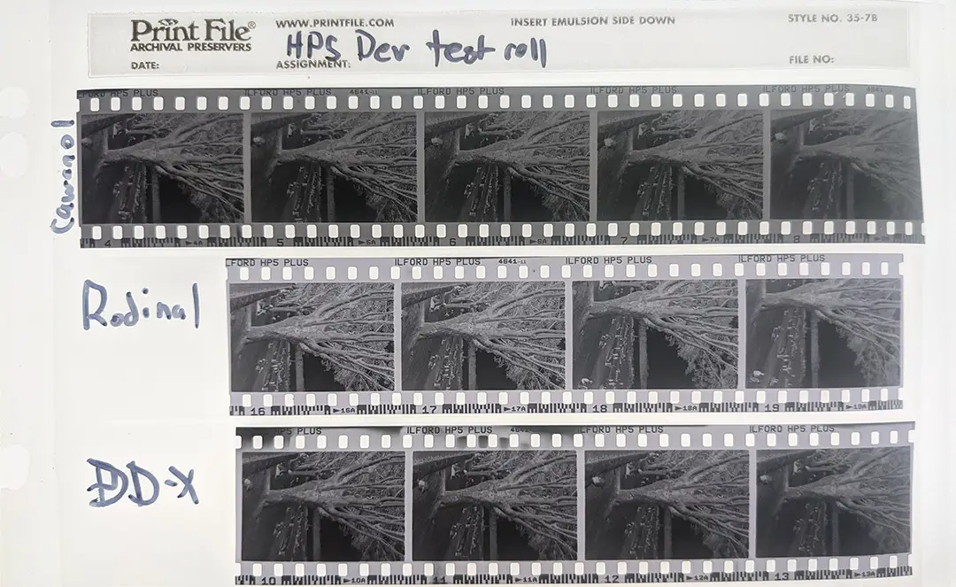 Cawanol vs. Rodinal and DD-X. Negatives from the same roll were developed in different developers to see how they differred.