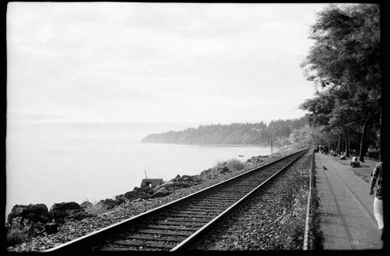 28 Film Developing Problems and How to Solve Them (with photos)