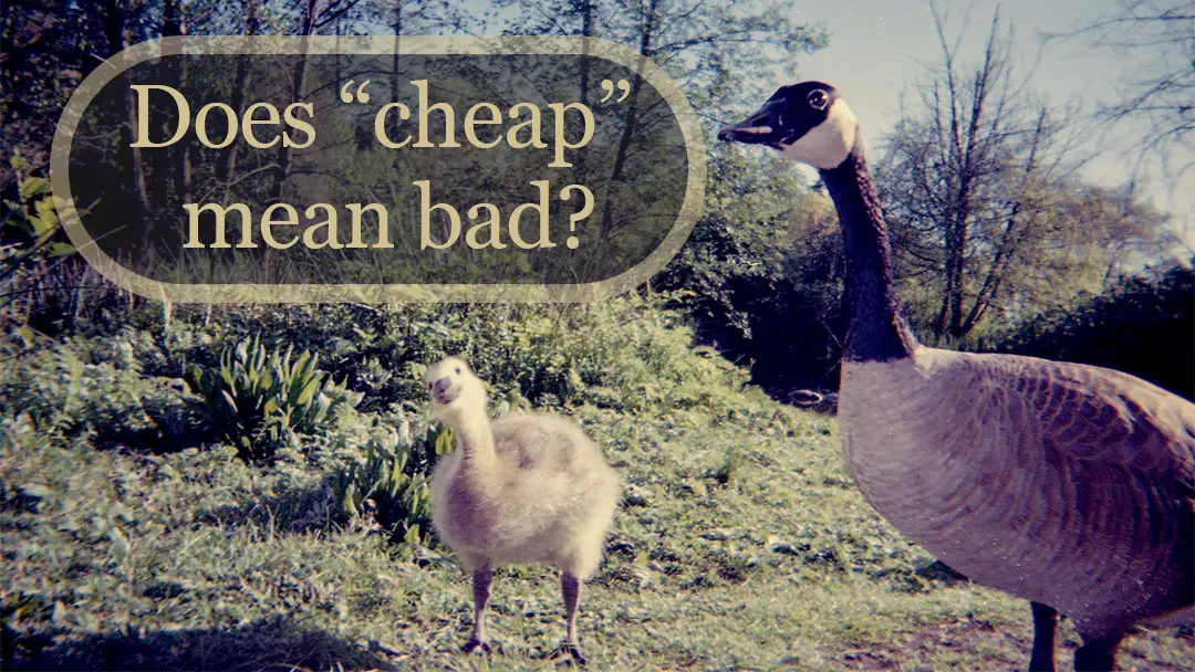 Is cheap or budget film bad?