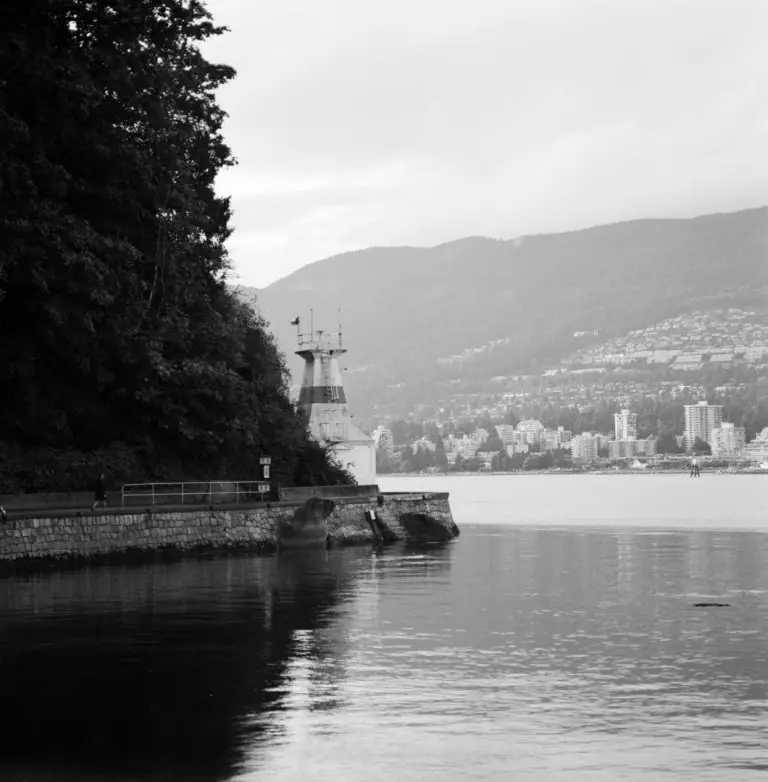 A beginner's guide to medium format film photography Learn Film Photography