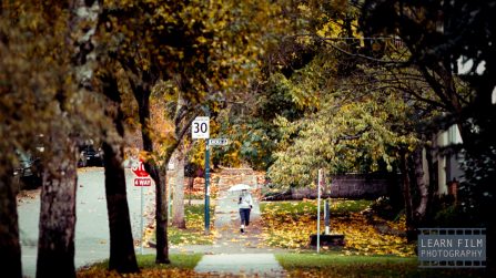 Portra 400 Vs. Lomo 400 side-by-side — is Portra worth the money?