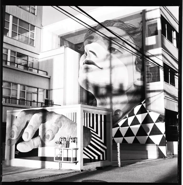 A beginner's guide to medium format film photography Learn Film Photography