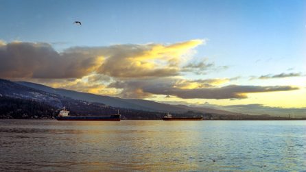 What do I need to scan film negatives with a digital camera?
