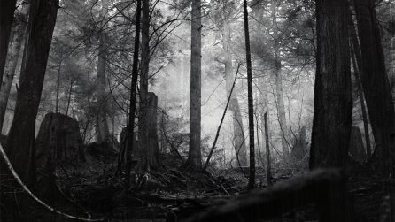 Can I change the ISO of film midway through the roll?