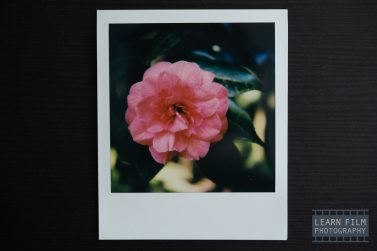 What’s the difference between Polaroid SX-70 and 600 film?