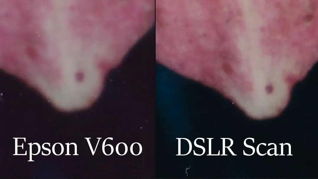 Epson V600 versus DSLR scan of a Polaroid or Fuji Instax film.