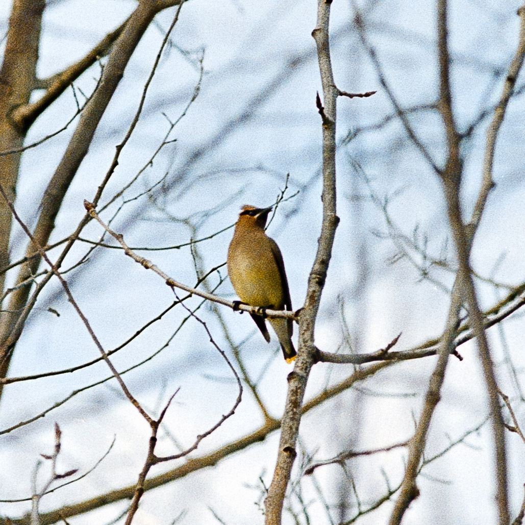 Image captured on Lomo 800, a high speed color film